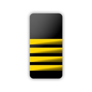Epaulettes 4 Bar Soft Gold & Black